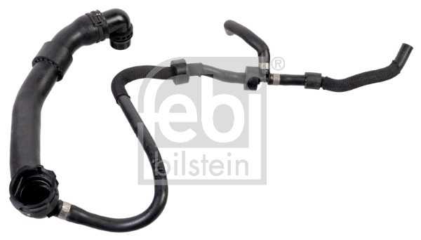 Radiator Hose